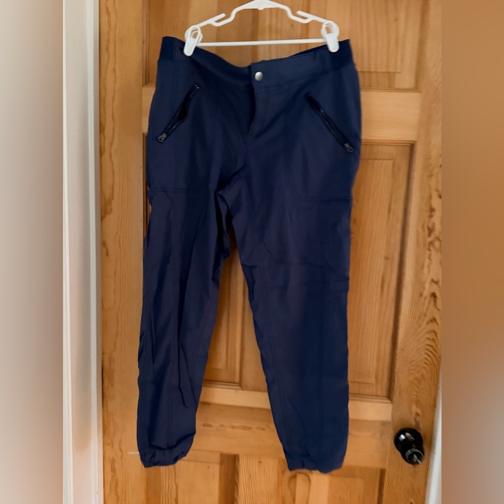 Stylish Navy Ankle Pants